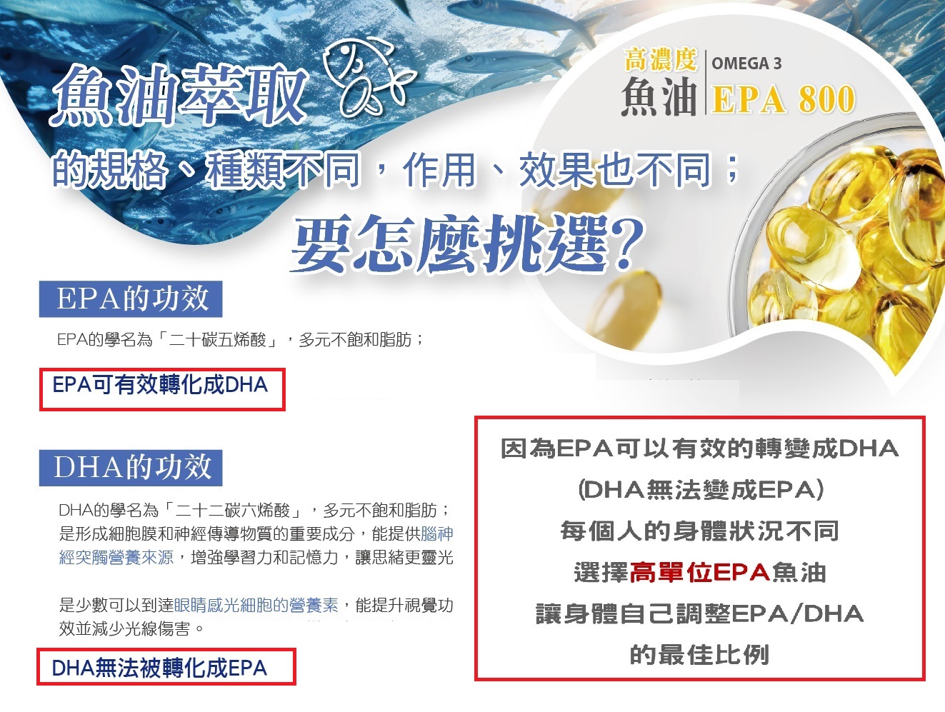 EPA800鱼油